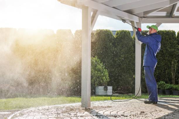 Boat and Dock Cleaning in Onarga, IL