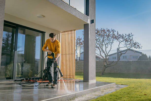 Best Gutter Cleaning  in Onarga, IL