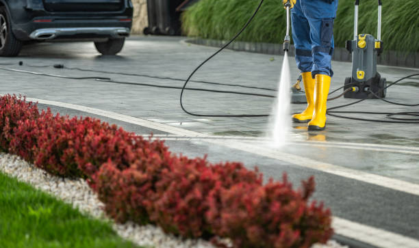 Best Dumpster Area Cleaning  in Onarga, IL